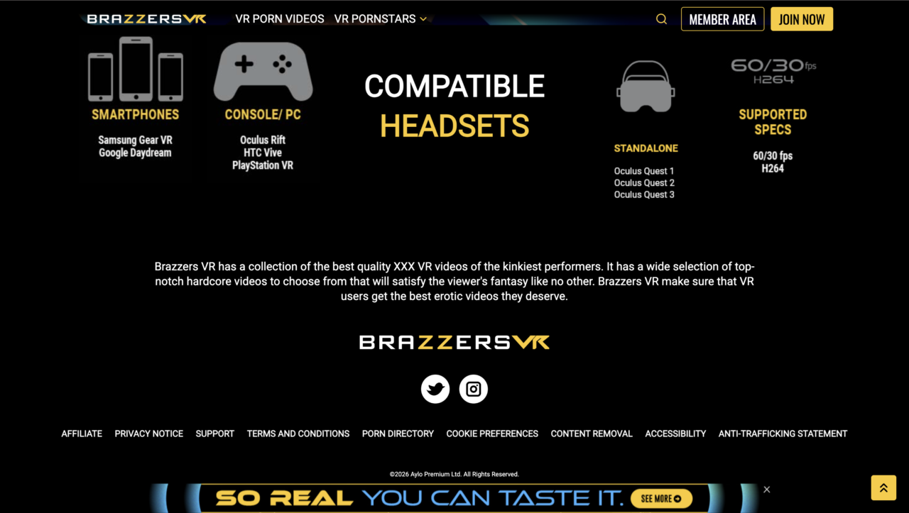 Les appareils pris en charge par Brazzers VR